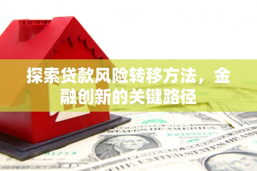 大武探索贷款风险转移方法，金融创新的关键路径