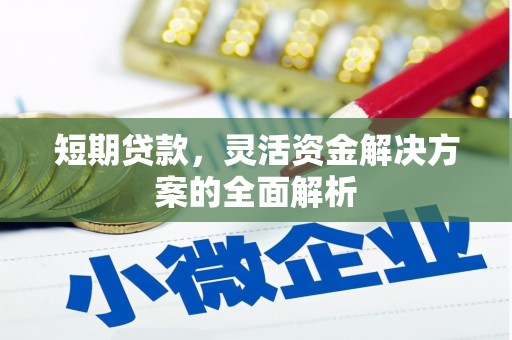 大武短期贷款，灵活资金解决方案的全面解析