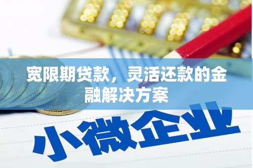 大武宽限期贷款，灵活还款的金融解决方案
