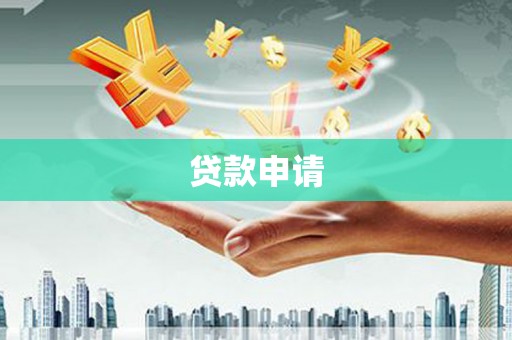大武贷款申请