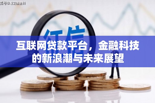 大武互联网贷款平台，金融科技的新浪潮与未来展望