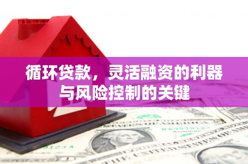 大武循环贷款，灵活融资的利器与风险控制的关键