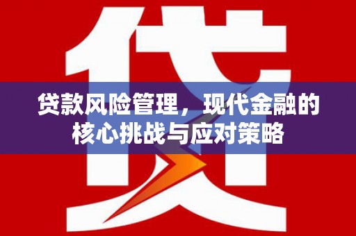 大武贷款风险管理，现代金融的核心挑战与应对策略