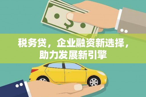 大武税务贷，企业融资新选择，助力发展新引擎