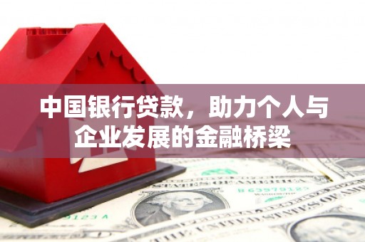 大武中国银行贷款，助力个人与企业发展的金融桥梁
