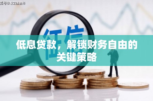 大武低息贷款，解锁财务自由的关键策略