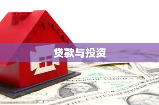 大武贷款与投资
