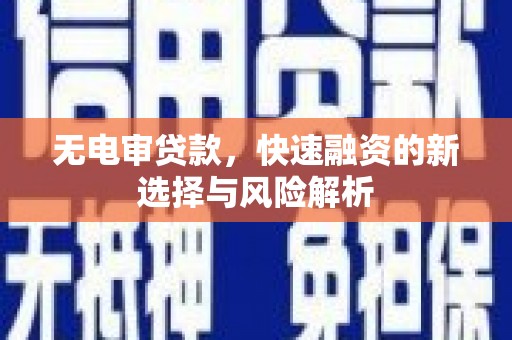 大武无电审贷款，快速融资的新选择与风险解析