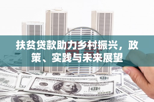 大武扶贫贷款助力乡村振兴，政策、实践与未来展望