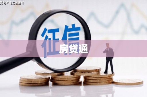 大武房贷通