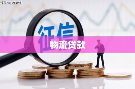 大武物流贷款