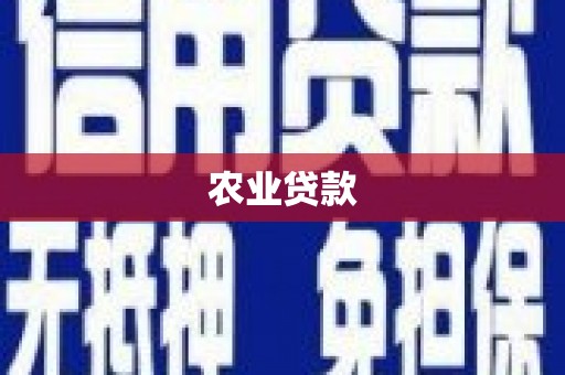 大武农业贷款
