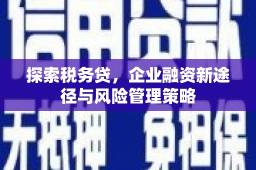 大武探索税务贷，企业融资新途径与风险管理策略