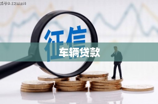 大武车辆贷款
