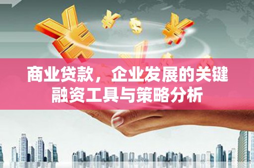 大武商业贷款，企业发展的关键融资工具与策略分析