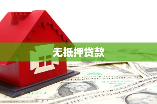 大武无抵押贷款