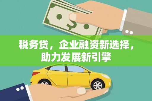 大武税务贷，企业融资新选择，助力发展新引擎