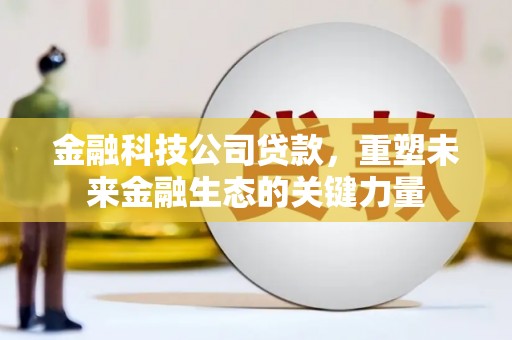 大武金融科技公司贷款，重塑未来金融生态的关键力量