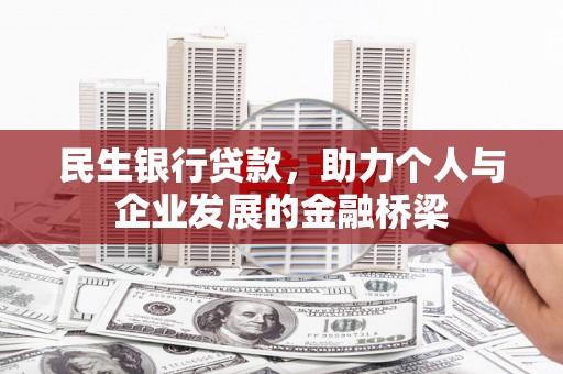 大武民生银行贷款，助力个人与企业发展的金融桥梁