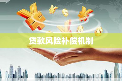 大武贷款风险补偿机制