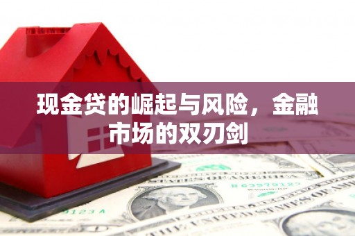 大武现金贷的崛起与风险，金融市场的双刃剑