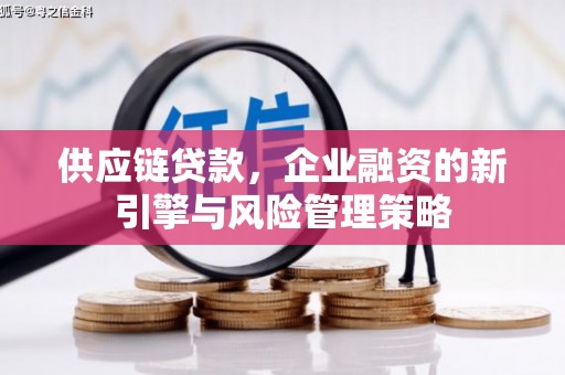 大武供应链贷款，企业融资的新引擎与风险管理策略