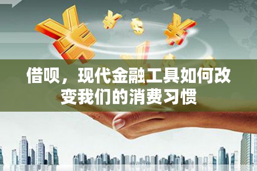 大武借呗，现代金融工具如何改变我们的消费习惯
