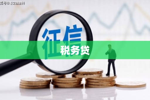 大武税务贷
