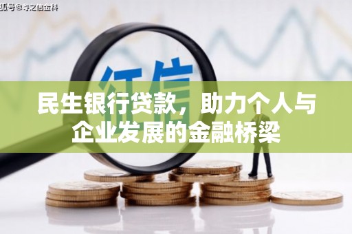 大武民生银行贷款，助力个人与企业发展的金融桥梁