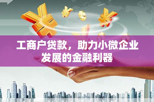 大武工商户贷款，助力小微企业发展的金融利器