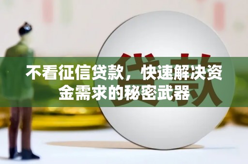 大武不看征信贷款，快速解决资金需求的秘密武器
