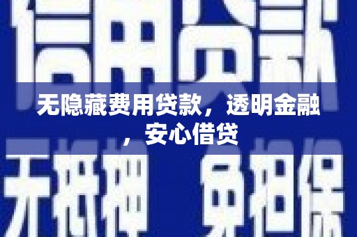 大武无隐藏费用贷款，透明金融，安心借贷