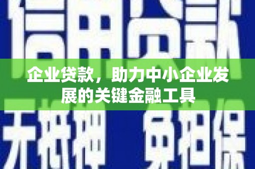 大武企业贷款，助力中小企业发展的关键金融工具