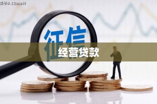 大武经营贷款