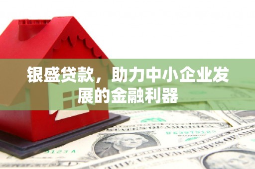 大武银盛贷款，助力中小企业发展的金融利器