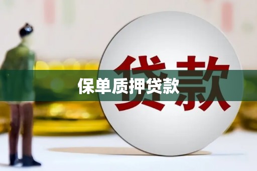 大武保单质押贷款