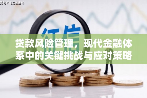 大武贷款风险管理，现代金融体系中的关键挑战与应对策略