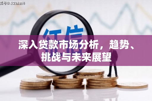 大武深入贷款市场分析，趋势、挑战与未来展望