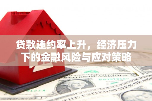 大武贷款违约率上升，经济压力下的金融风险与应对策略