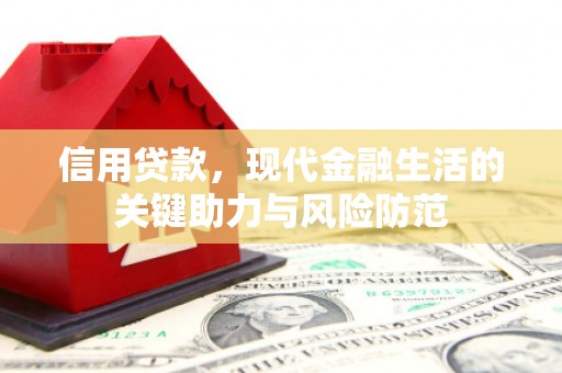 大武信用贷款，现代金融生活的关键助力与风险防范