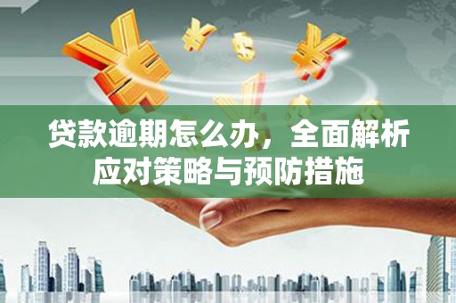 大武贷款逾期怎么办，全面解析应对策略与预防措施