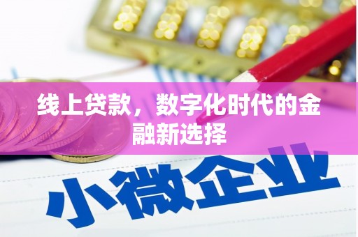 大武线上贷款，数字化时代的金融新选择