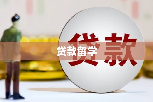 大武贷款留学