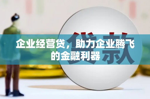 大武企业经营贷，助力企业腾飞的金融利器