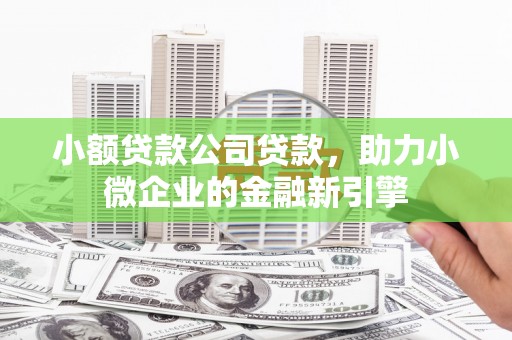 大武小额贷款公司贷款，助力小微企业的金融新引擎