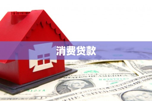 大武消费贷款