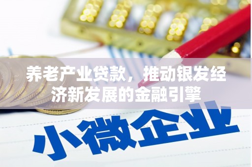 大武养老产业贷款，推动银发经济新发展的金融引擎