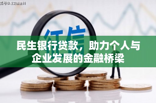 大武民生银行贷款，助力个人与企业发展的金融桥梁