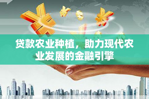 大武贷款农业种植，助力现代农业发展的金融引擎