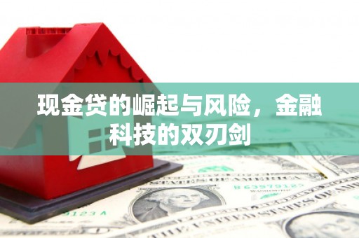 大武现金贷的崛起与风险，金融科技的双刃剑